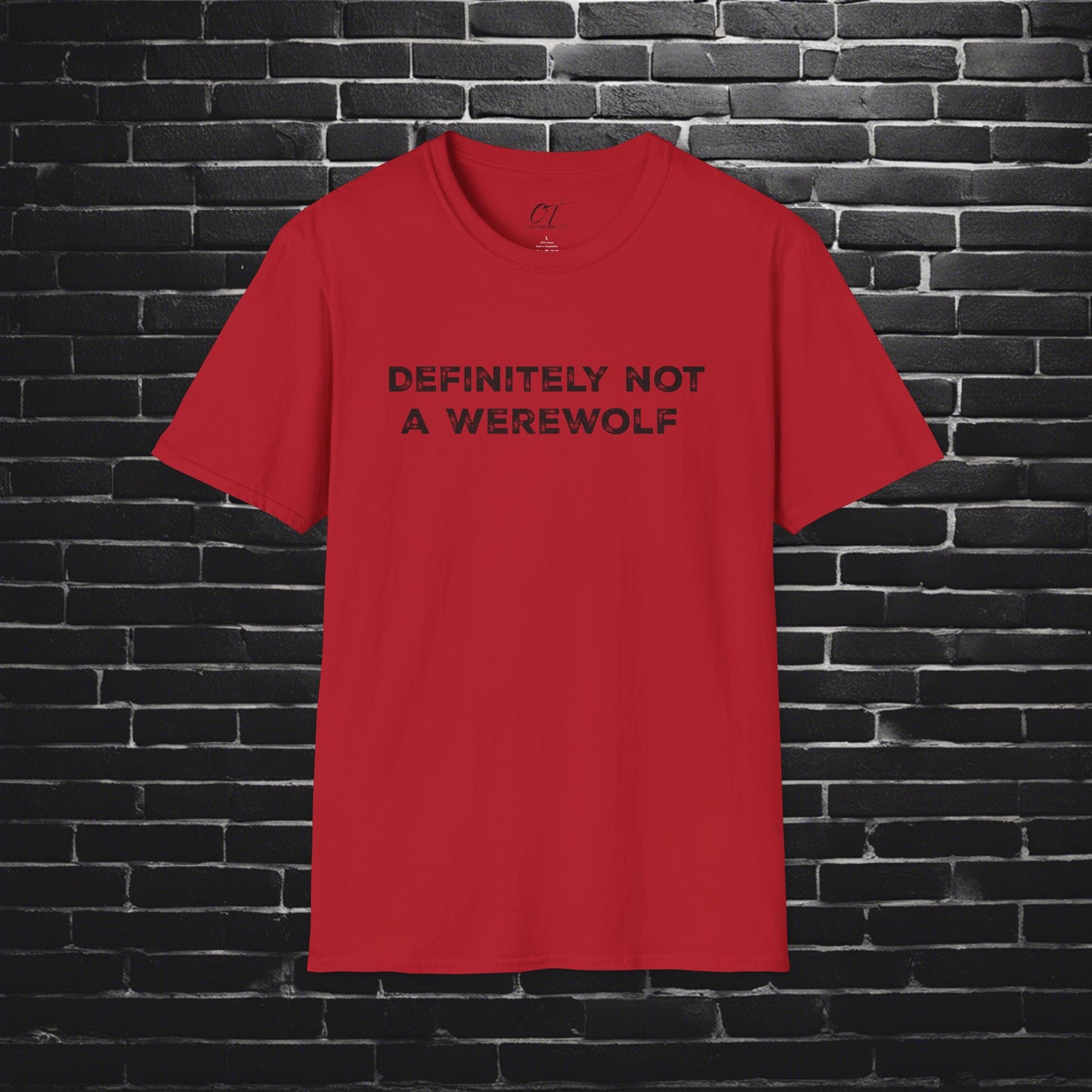 Definitely not a werewolf, Costume Shirt, Trendy Fall Tee, Spooky Season, Halloween Party Shirt, Halloween Shirt, Spooky Shirt, Fall Shirt