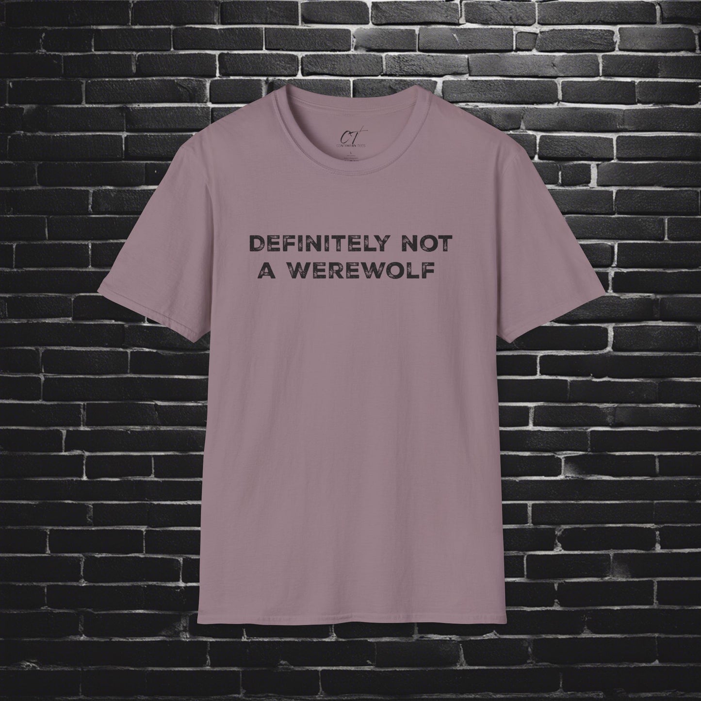 Definitely not a werewolf, Costume Shirt, Trendy Fall Tee, Spooky Season, Halloween Party Shirt, Halloween Shirt, Spooky Shirt, Fall Shirt