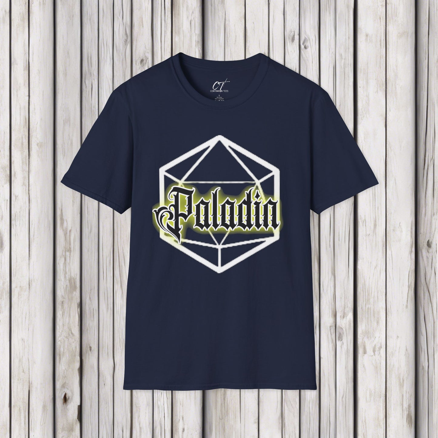 D&D Class Shirt, Paladin, Dungeons and Dragons T-Shirt, RPG Gamer Gift, Geeky DnD Shirt, Gifts for Geeks, Gamer Tee, Tabletop Gaming Apparel