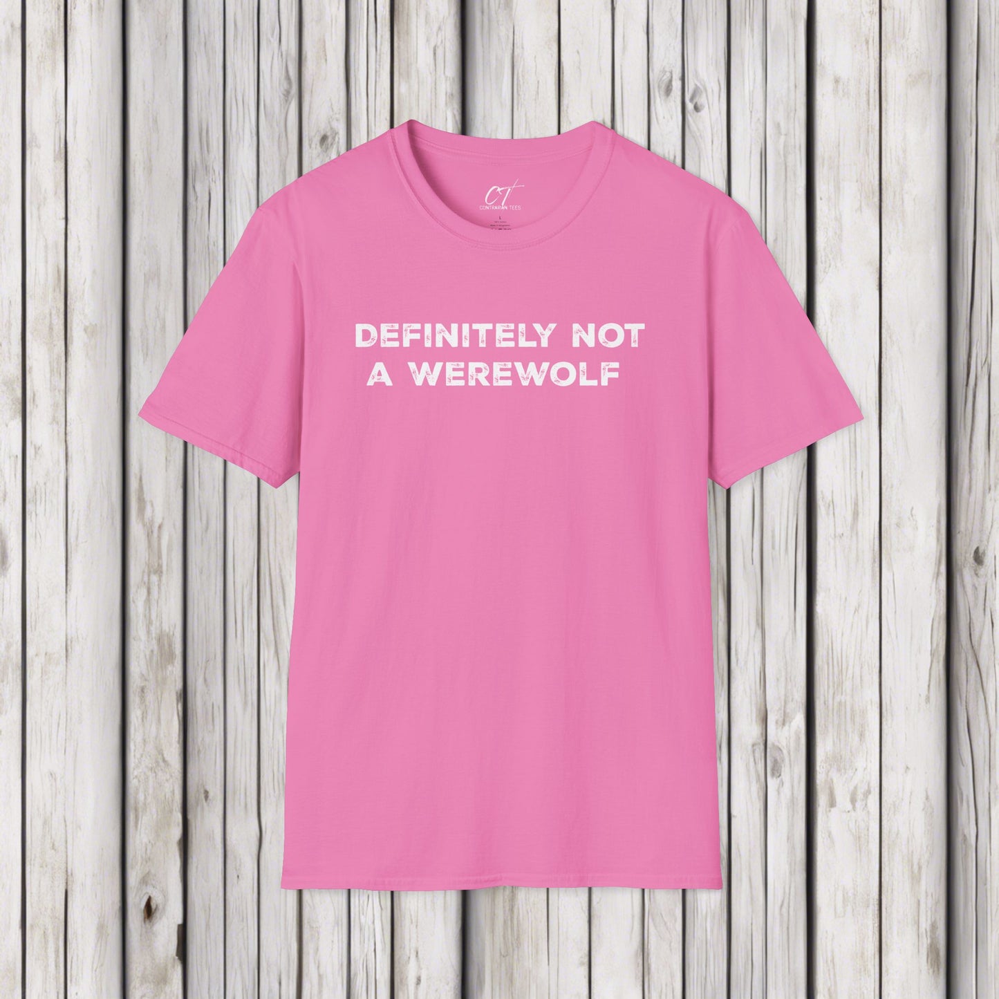 Definitely not a werewolf, Costume Shirt, Trendy Fall Tee, Spooky Season, Halloween Party Shirt, Halloween Shirt, Spooky Shirt, Fall Shirt