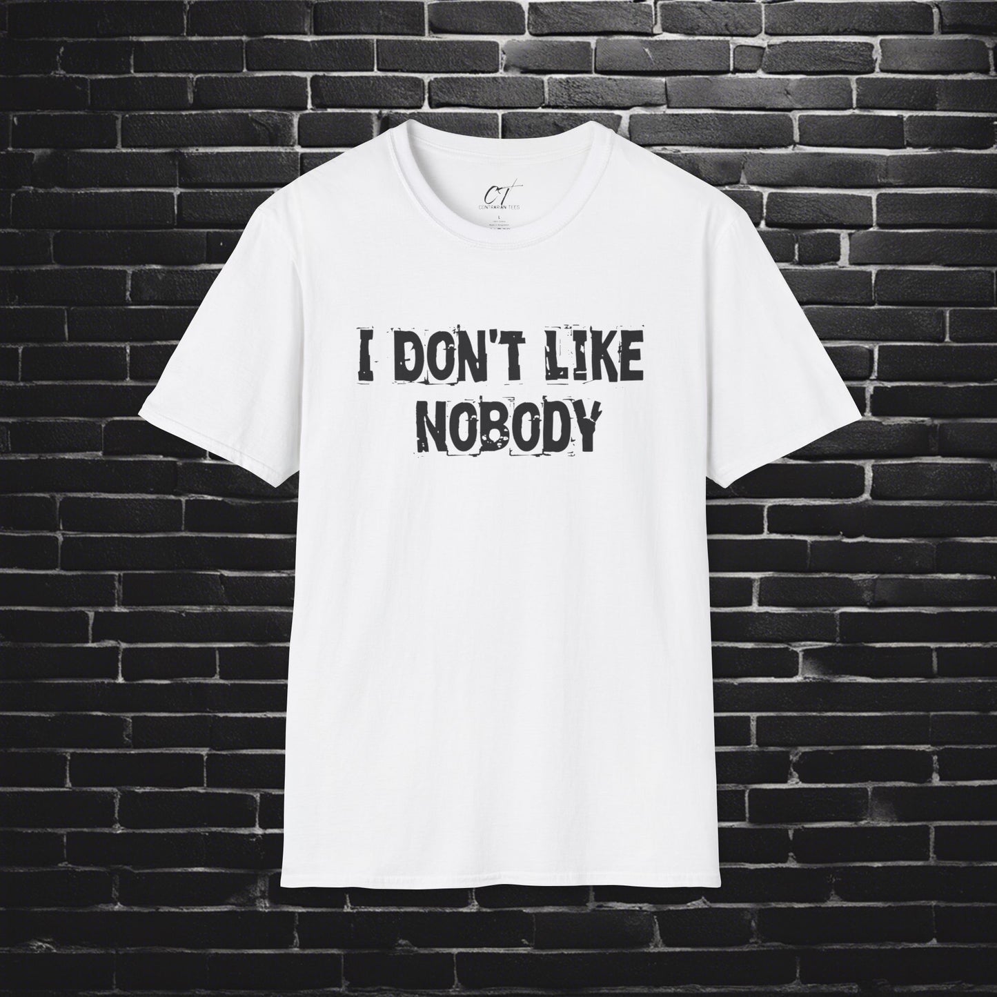 I don't like nobody, Mens T-shirt, Sarcastic Shirt, Smartass Shirt, Adult Humor Shirt, Funny shirt, Funny Gift, Humorous Shirt