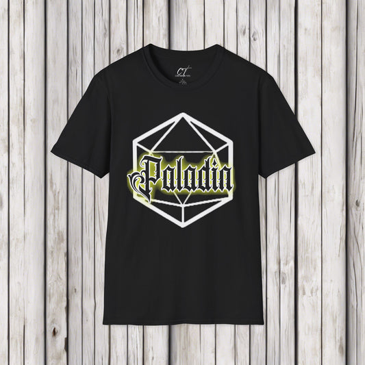 D&D Class Shirt, Paladin, Dungeons and Dragons T-Shirt, RPG Gamer Gift, Geeky DnD Shirt, Gifts for Geeks, Gamer Tee, Tabletop Gaming Apparel