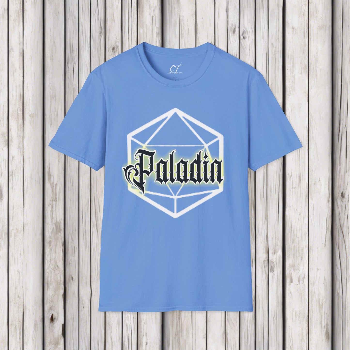 D&D Class Shirt, Paladin, Dungeons and Dragons T-Shirt, RPG Gamer Gift, Geeky DnD Shirt, Gifts for Geeks, Gamer Tee, Tabletop Gaming Apparel