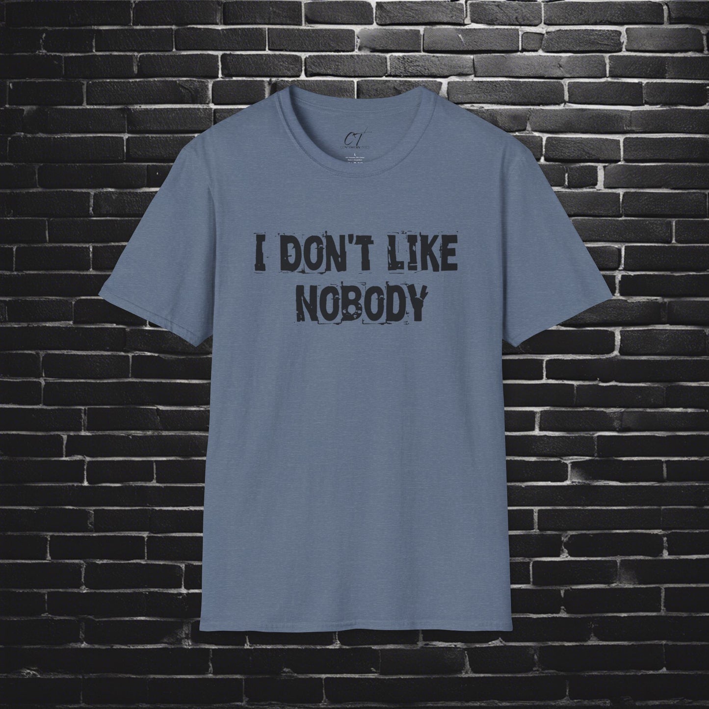 I don't like nobody, Mens T-shirt, Sarcastic Shirt, Smartass Shirt, Adult Humor Shirt, Funny shirt, Funny Gift, Humorous Shirt