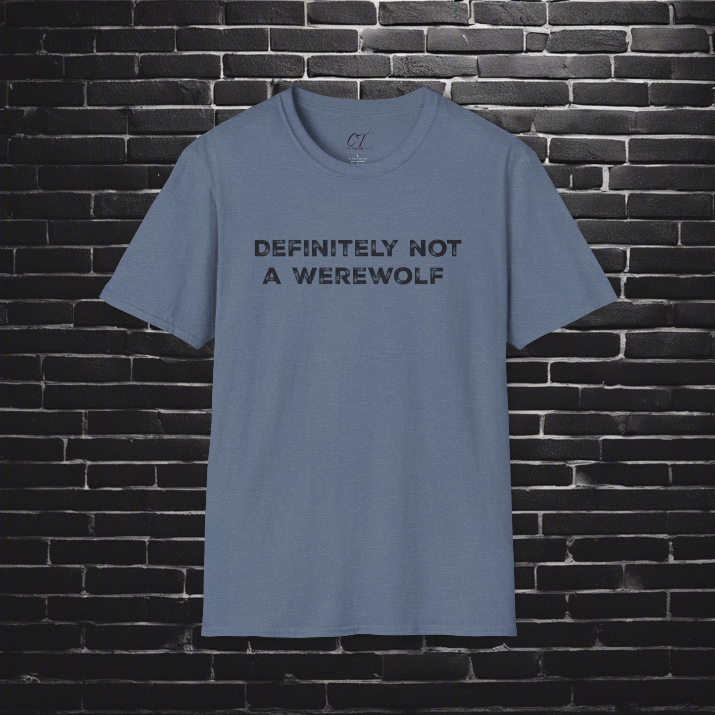 Definitely not a werewolf, Costume Shirt, Trendy Fall Tee, Spooky Season, Halloween Party Shirt, Halloween Shirt, Spooky Shirt, Fall Shirt