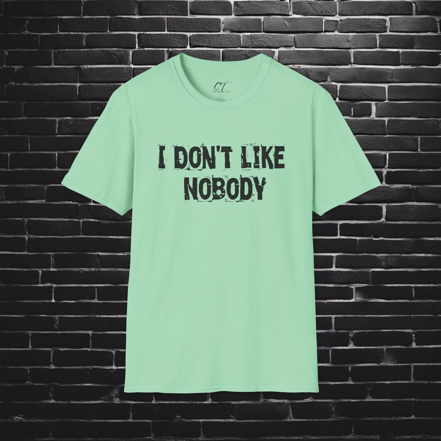 I don't like nobody, Mens T-shirt, Sarcastic Shirt, Smartass Shirt, Adult Humor Shirt, Funny shirt, Funny Gift, Humorous Shirt
