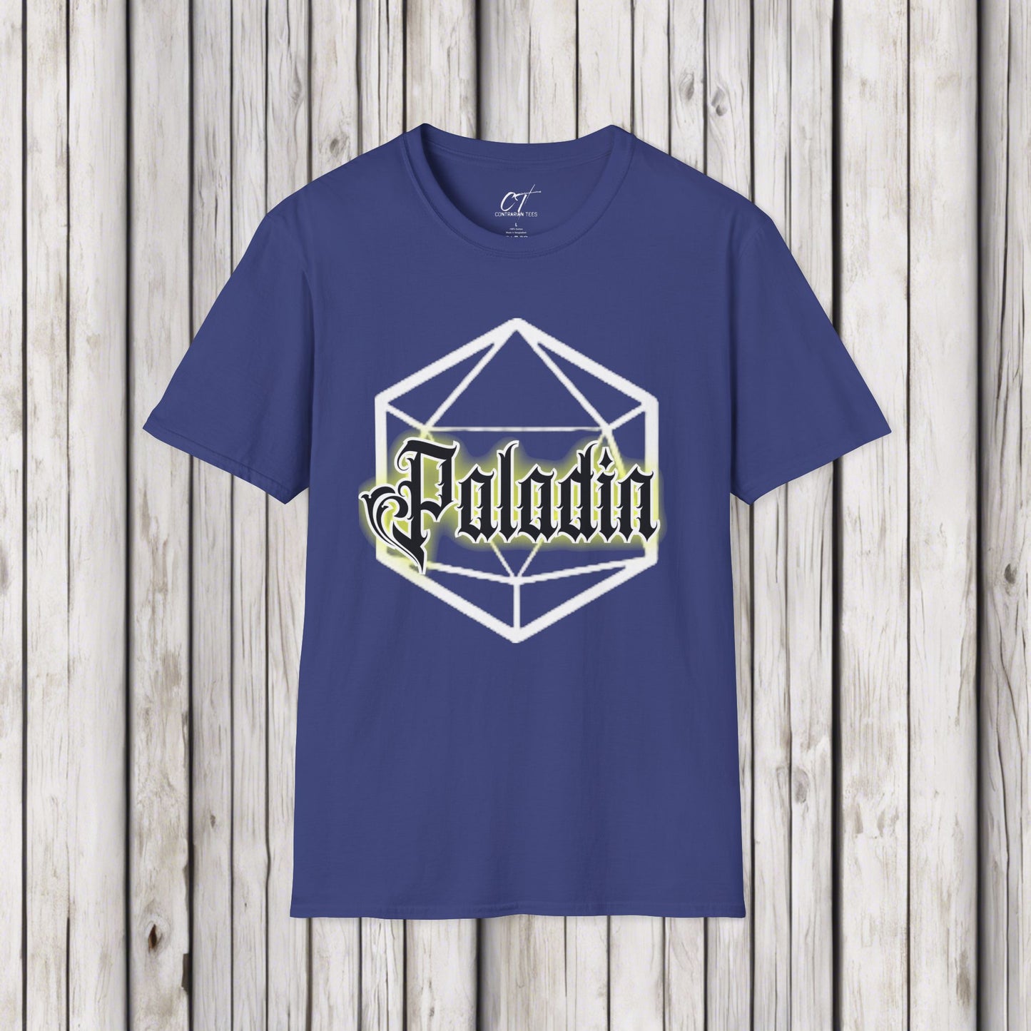 D&D Class Shirt, Paladin, Dungeons and Dragons T-Shirt, RPG Gamer Gift, Geeky DnD Shirt, Gifts for Geeks, Gamer Tee, Tabletop Gaming Apparel