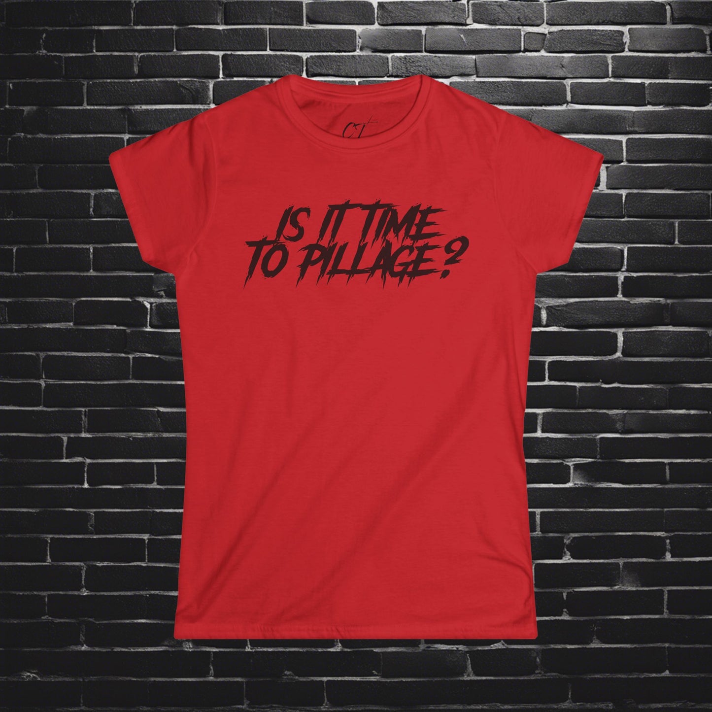 Is it time to pillage?, Mischievous Apparel, Womens Tee, Sarcastic Shirt, Smartass Shirt, Funny shirt, Funny Gift, Humorous Shirt