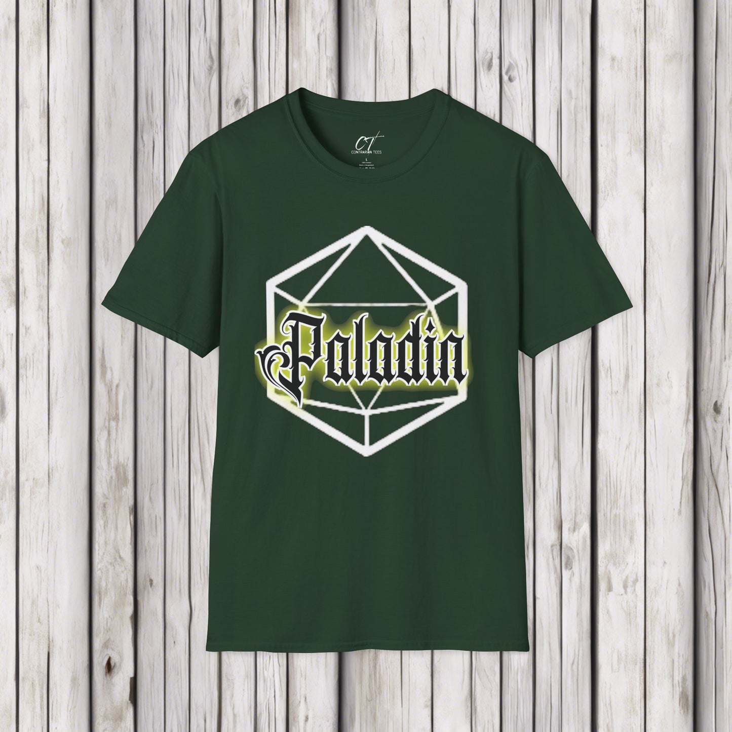 D&D Class Shirt, Paladin, Dungeons and Dragons T-Shirt, RPG Gamer Gift, Geeky DnD Shirt, Gifts for Geeks, Gamer Tee, Tabletop Gaming Apparel
